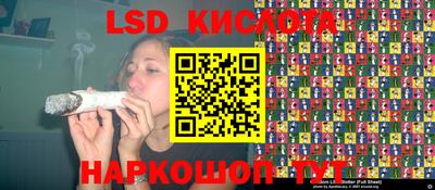 твердый Новодвинск