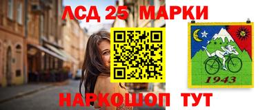 твердый Новодвинск