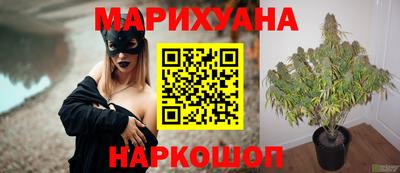 твердый Новодвинск