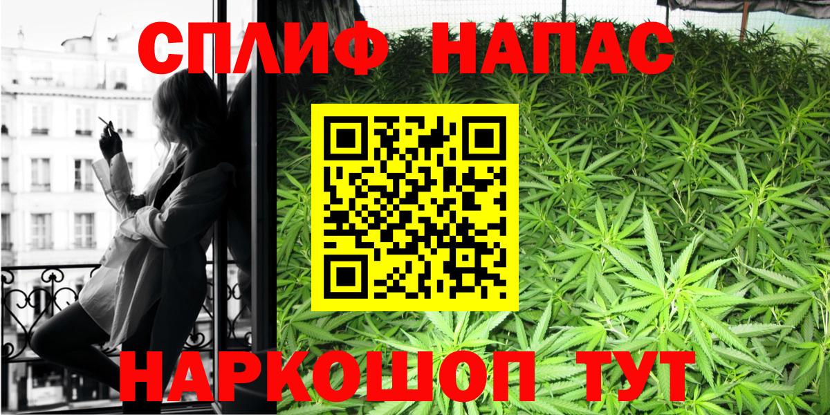 Канабис семена Тихвин
